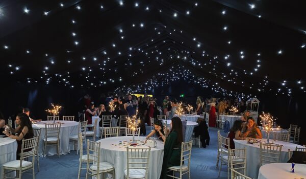 Review: Mermaids Christmas Ball 2023